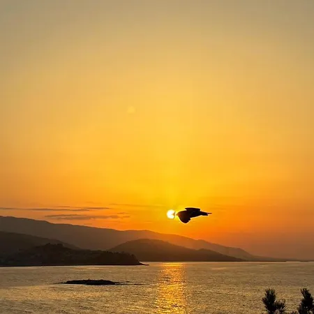 Royalty Queen * Cavala